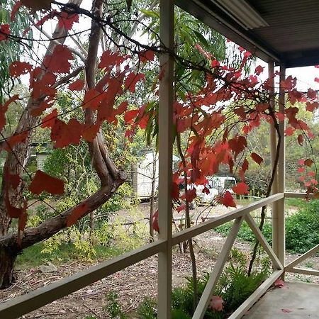 Padthaway Caravan Park Dış mekan fotoğraf