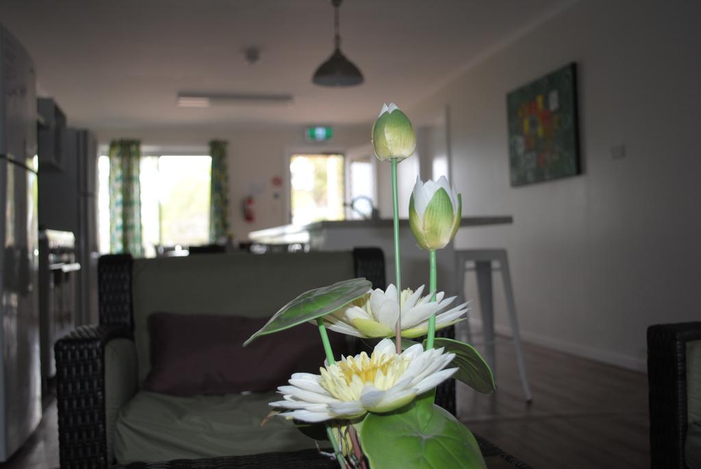 Padthaway Caravan Park Dış mekan fotoğraf